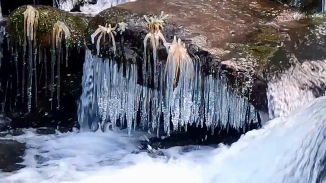 Весенняя медитация раскрытия женственности | Озвучено голосом смотреть онлайн