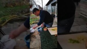 Сюрстреминг