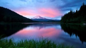 Долголетие в наших руках. Секреты и причины долголетия.