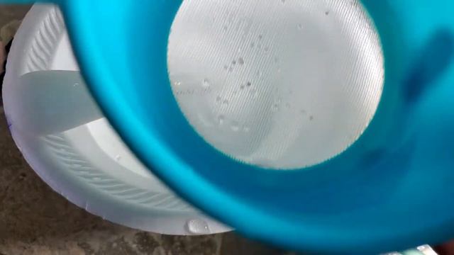 Sorting pseudomugil tenellus eggs to hatch смотреть онлайн