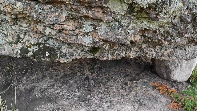 Выборг - Гвардейское - Вещево смотреть онлайн