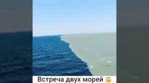 Залив Аляска, место где встречаются два моря, но никогда не смешиваются.