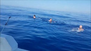 Турция, Алания, отель AVENA, Авена резорт спа 4*, июль 2018г. Рыбалка в Турции