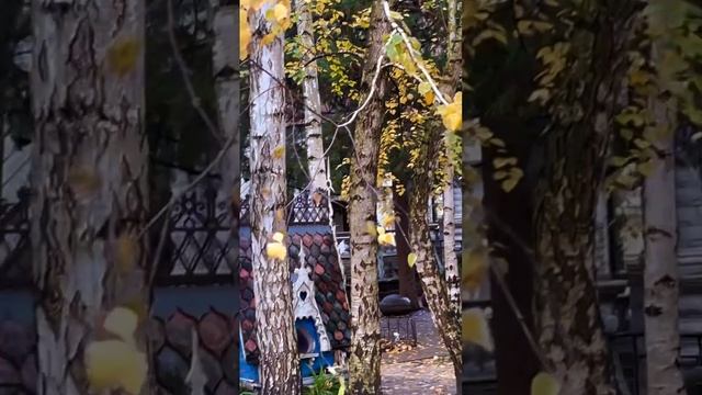 старый парк а Кабардинке