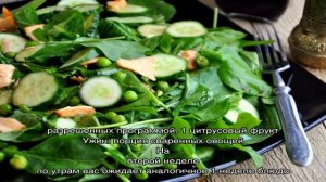 Химическая диета Усама Хамдий. Яичный оригинальный вариант диеты Усама Хамдий