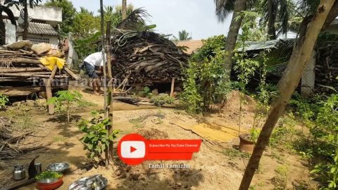 குழந்தைகள் விரும்பி சாப்பிடக்கூடிய அவரக்காய் முட்டை பொரியல் இப்படி செஞ்சு பாருங்க | Tamil Tamizha