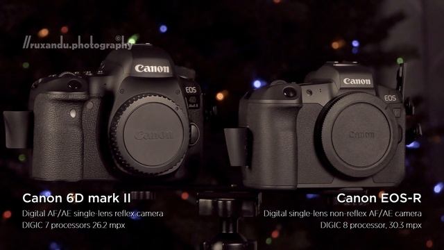 Canon EOS-R vs 7D2 vs 6D2 vs 6D cameras side-by-side смотреть онлайн