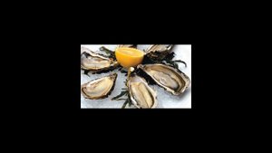 Как правильно есть устриц?