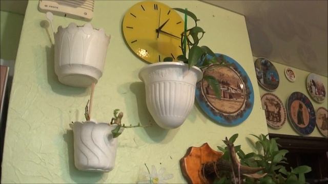 VLOG/Выкопали картошку, вкусное мясо на гриле,органайзер для скойча. смотреть онлайн