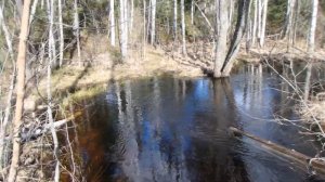 Покатушки до озера капитоновское.