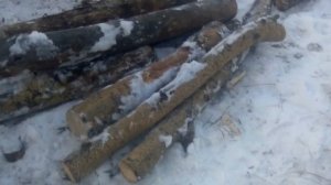 Чем и как пилить дрова, моё мнение.