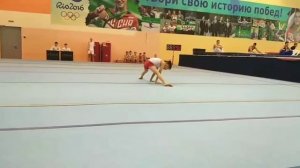 Третий взрослый разряд по спортивной гимнастике