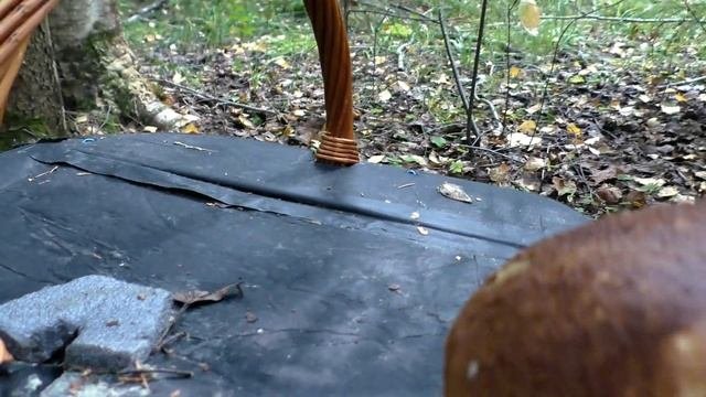 Эп.056. Грибы. Пора красных подосиновиков. Часть 2. Поход 05.09.23.