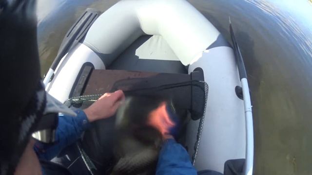 Кофе брейк,блин сломал. смотреть онлайн