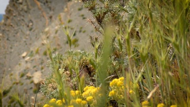 "Озеро Лиманчик" смотреть онлайн