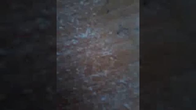 Как добыть  масло  из семечек?