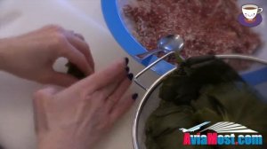 Как просто приготовить Долма из виноградных листьев | Рецепты Кухни Рамадана