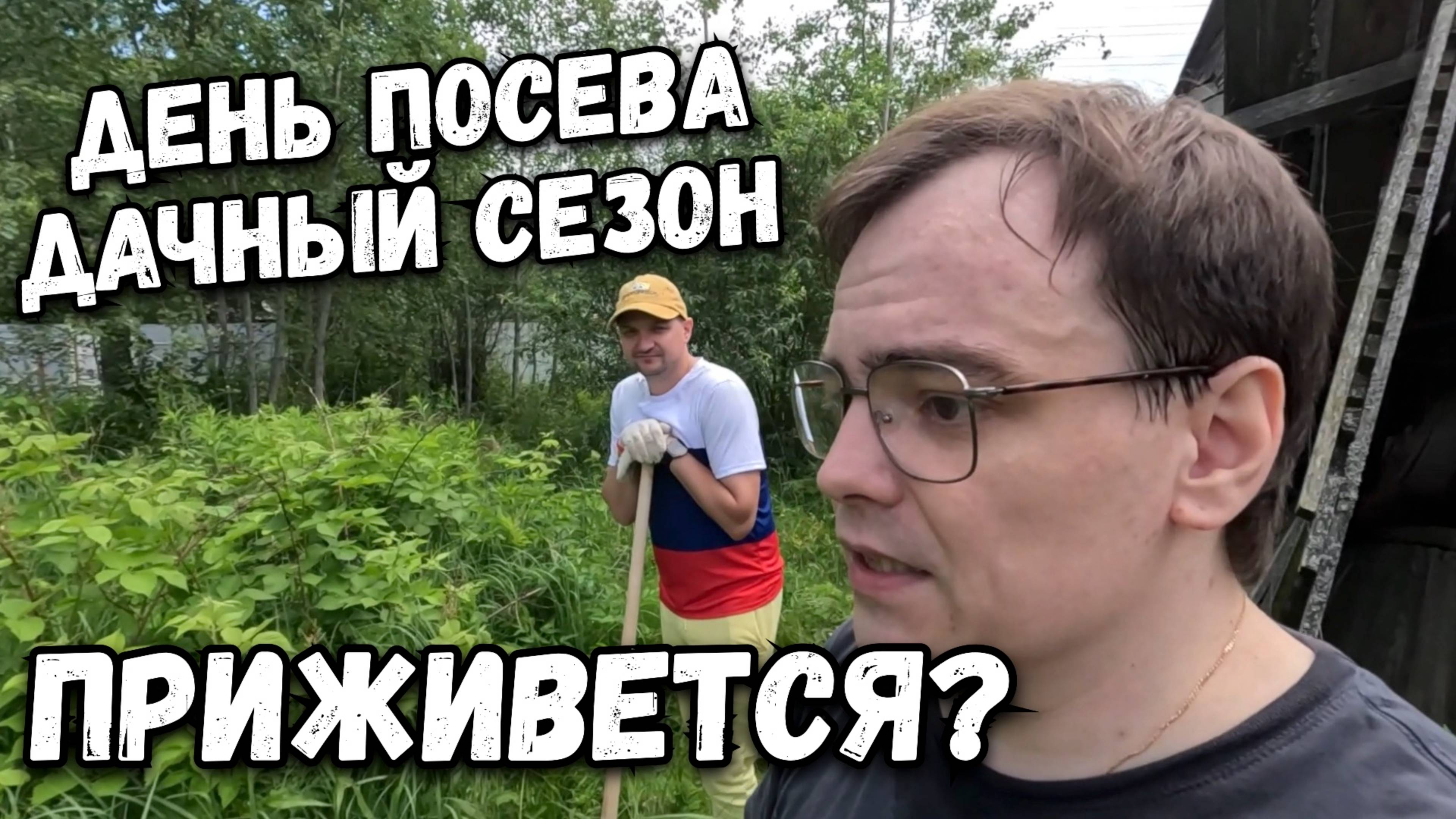 Дачный сезон 2024. Посевной день или день пересадок, наводим красоту на участке. Приживется?