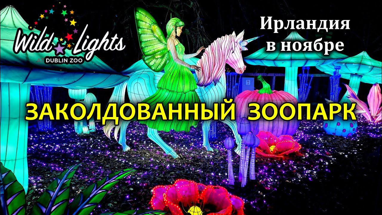Ирландия / Дублин - Световое шоу / Wild Lights at Dublin Zoo 2023