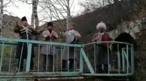 живое исполнение песни _Шавхабег_ курах.