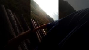 Костромская обл.никольский рн д.Шири ))))