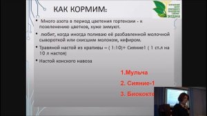 Выращивание метельчатых и древовидных гортензий. Самое важное