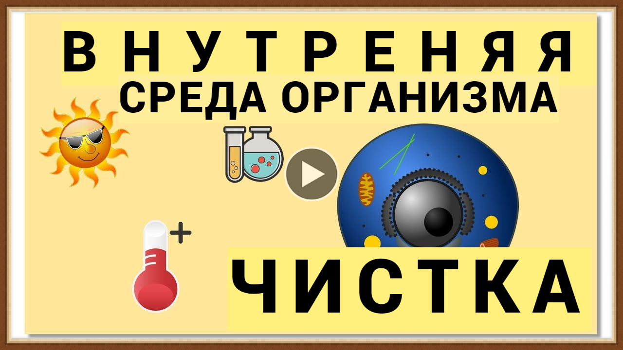 ВНУТРЕННЯЯ СРЕДА ОРГАНИЗМА - ЧИСТКА