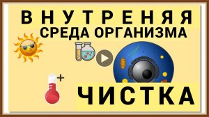 ВНУТРЕННЯЯ СРЕДА ОРГАНИЗМА - ЧИСТКА