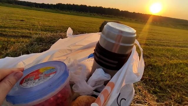 Супер сенокос 2022. Наши деревенские будни. Земляничное поле