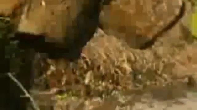 Есенин.mpg смотреть онлайн