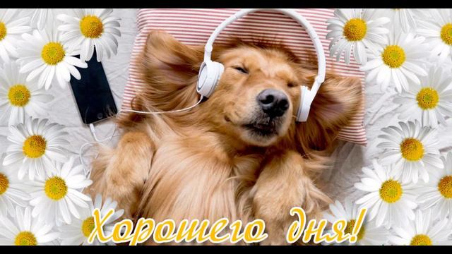 Добрый день
