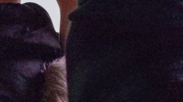 Sam Fender - Hypersonic Missiles (Live @ Cardiff Motorpoint Arena 25/11/21) смотреть онлайн