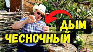 НИКОГДА не выбрасывайте СТЕБЕЛЬ ЧЕСНОКА / Насморк / Ринит - НЕ ПРОЙДЁТ #48