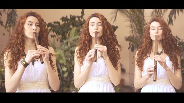 Чарівна скрипка (Сіла птаха) Сопілка смотреть онлайн