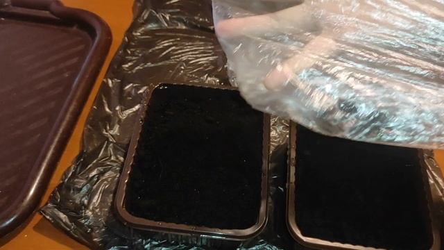 Пляж усыпан крабами! Дела "садовые" - сажаю зелень, Пеку печенье, Переезд в Краснодарский край, ПМЖ смотреть онлайн