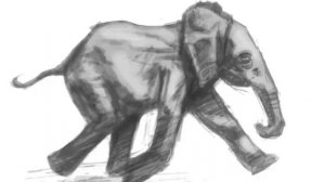 iPad Speed Paint: Elephant