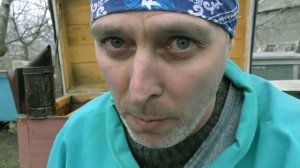 СЛЕТ ПЧЕЛ. ПЧЕЛИНЫЙ КОЛЛАПС. КАК, ПОЧЕМУ?