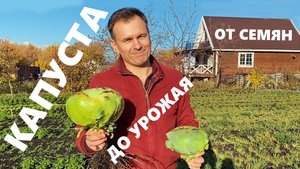 Выжимаем максимум из капусты. Технология ОЖЗ «от семян до урожая»