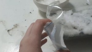 посев семян колокольчик карпатский. лёгкий способ сеять мелкие семена. выращивание цветов из семян.