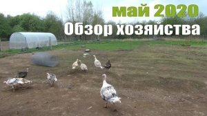 СВЕЖИЕ НОВОСТИ и обзор хозяйства в деревне, май 2020