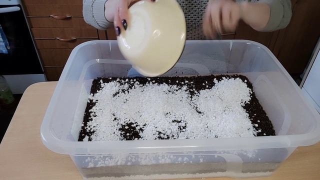 Сезон черенкования открыт! Черенкование древовидной гортензии одревесневшими черенками! 🌱🌱🌱#черенок