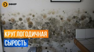 В хрущевке растут грибы на стенах