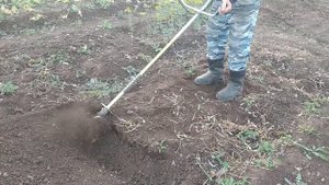 самодельный пропольщик к бензотриммеру.