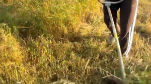 Бензокоса Stihl FS56