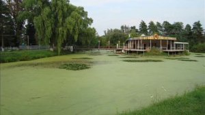 Курганинск