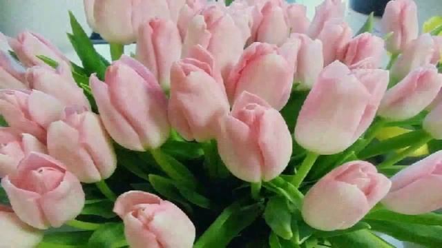 Поздравление с днем рождения Ольге Оле Оленьке! смотреть онлайн