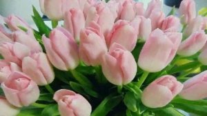 Поздравление с днем рождения Ольге Оле Оленьке!