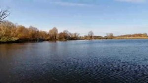 Тест драйв мотора шармакс 5лс. Лодка 320