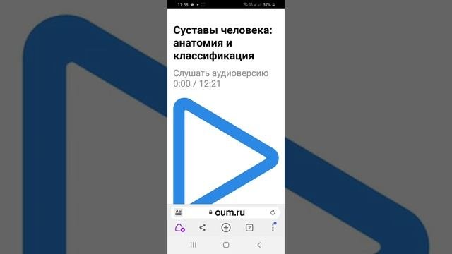 Суставы человека: анатомия и классификация