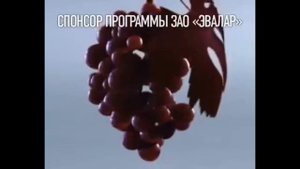 ВеноКорсет Эвалар в разных скоростях (×8 - ×0,125) @tvrecordstv